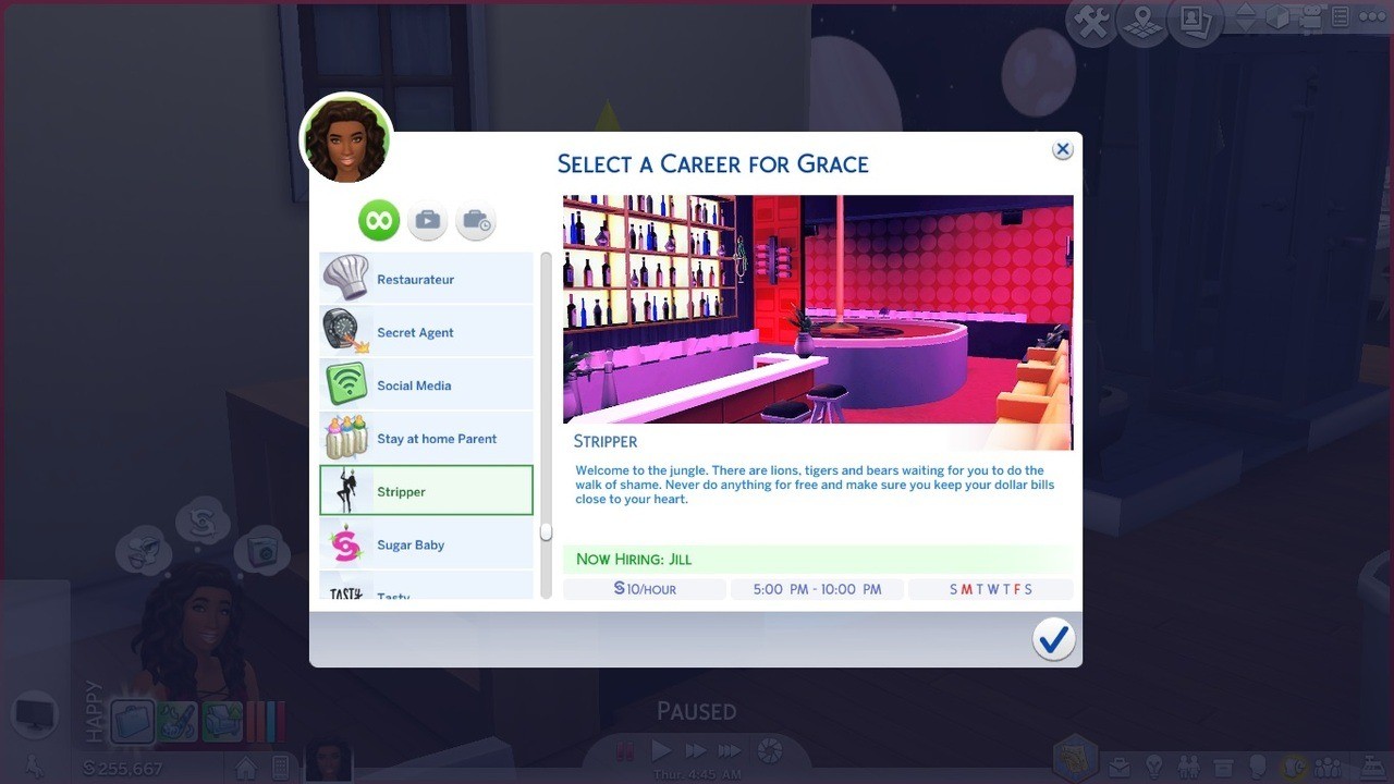 Sims 4 Adult Careers
